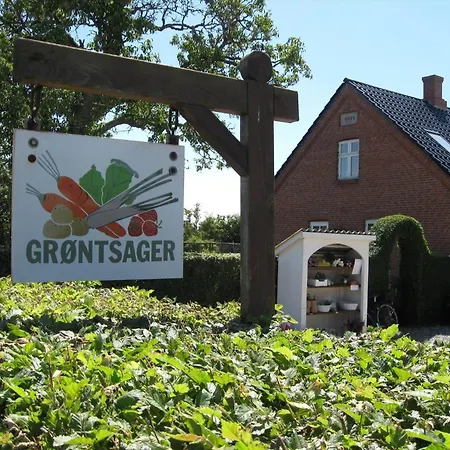 20119-samso-maarup-skov-26